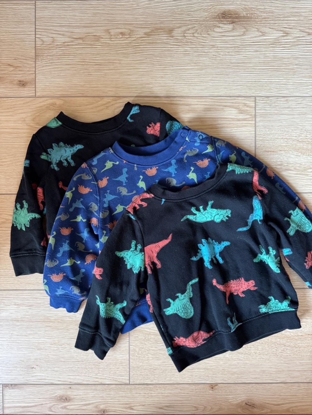 cat & jack dinosaur sweatshirts 12-18 months